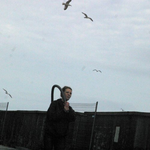 DinahBird playing with birds, Submarine base, Lorient