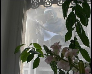 Natures Construites, works, stonework