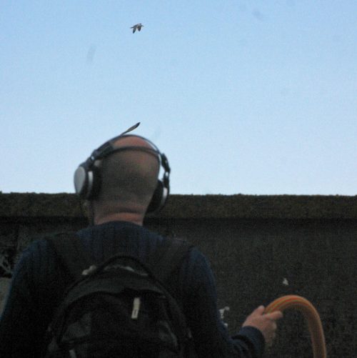 Jean-Philippe Renoult playing with birds, Lorient BSM, submarine base